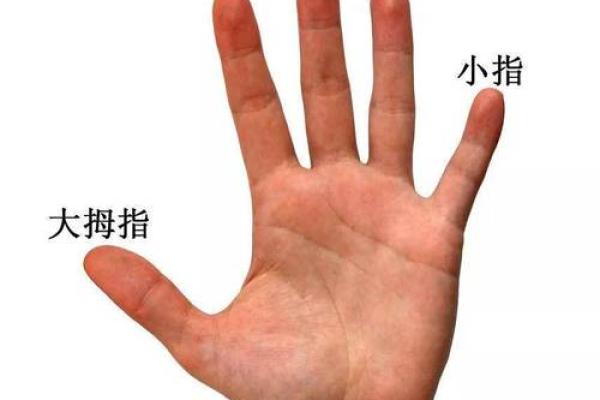 指尖密码：短粗小拇指的神秘力量