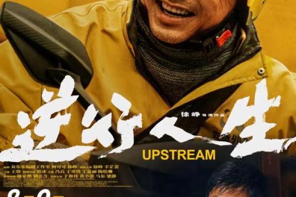 破浪前行：地支相冲中的逆袭之路