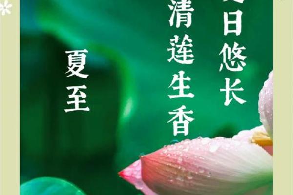 夏至时节，荷韵飘香：江南水乡的端午民俗之旅
