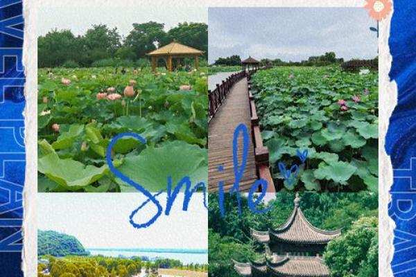 夏至时节，荷韵飘香：江南水乡的端午民俗之旅