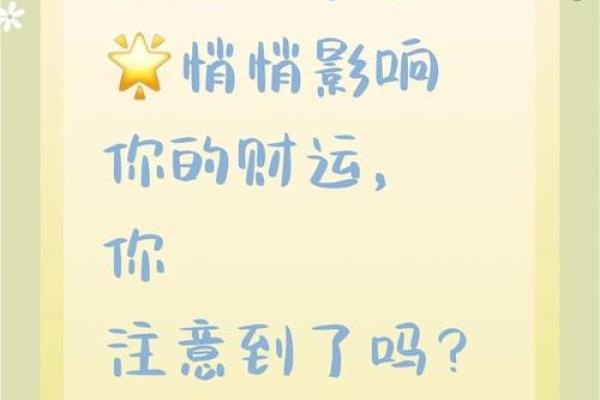 猫咪入驻家中，财运滚滚来，风水秘籍大公开！