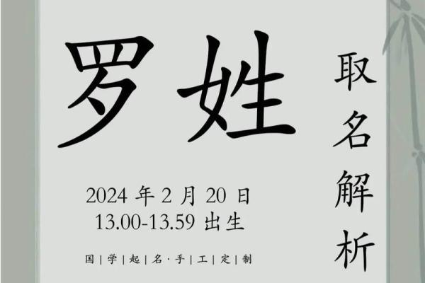 鸡年吉祥，罗宝宝好名推荐