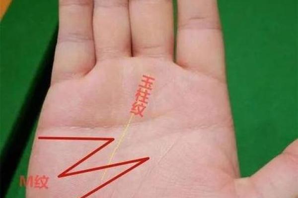 手相大师亲授：8字手相的财运密码大公开！