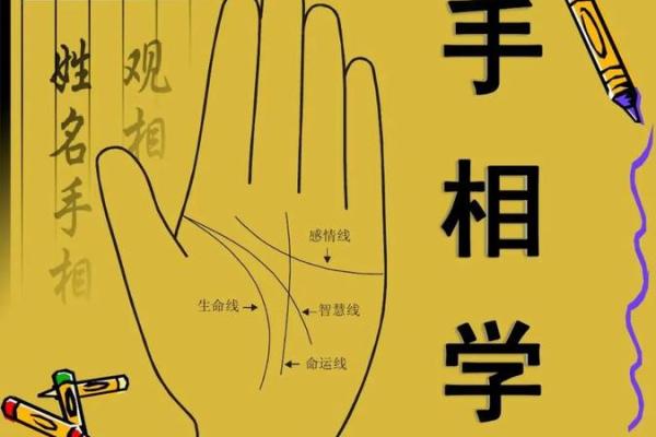 手相大师亲授：8字手相的财运密码大公开！
