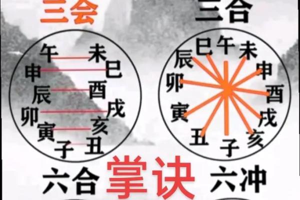 酉巳相融，探秘五行之力