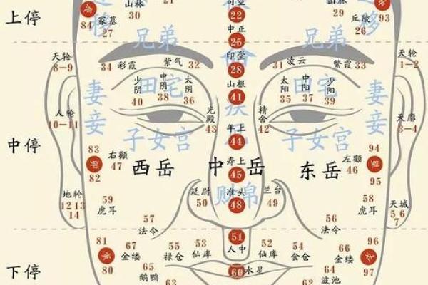 男性痣相揭秘：权威解读最吸睛的痣相特点