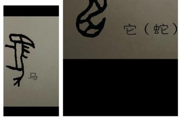酉巳相融，探秘五行之力
