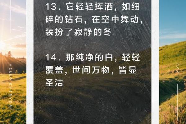 瑞雪纷飞圣诞节，全球同庆欢乐颂