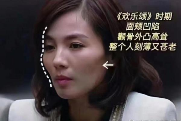 面相突变：刘涛的神秘面相演变之谜