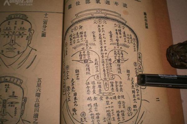 麻衣神相痣相宝典：一眼看穿命运走向