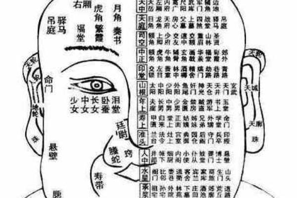 麻衣神相痣相宝典：一眼看穿命运走向