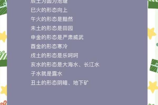 地支揭秘录：探寻神秘的文化密码