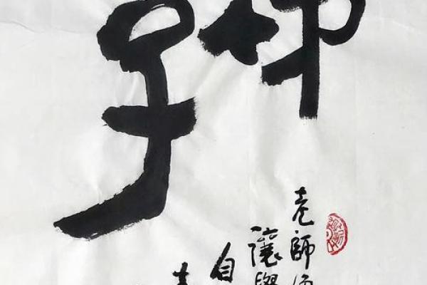 崔字五行属什么？详细分析与解释