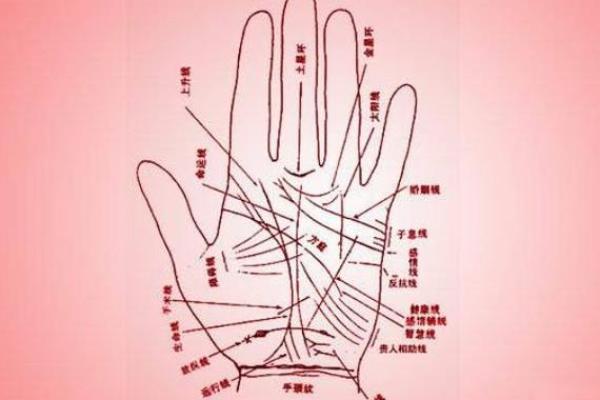 一掌在手，运势全知：手相手纹图解大全秘籍