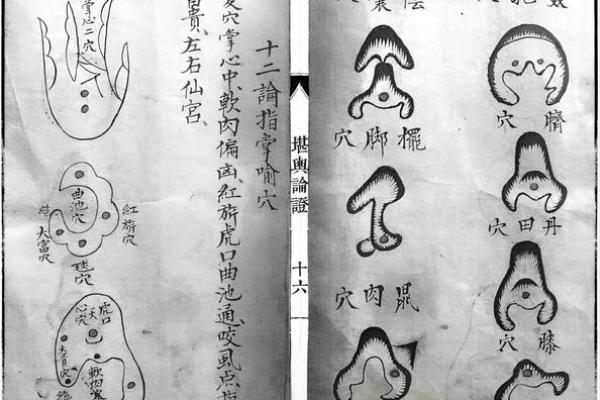 揭秘风水学鼻祖的哲学思想与实践技巧