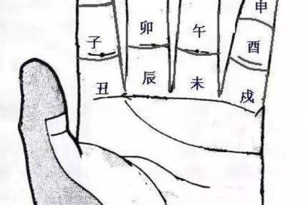 一本在手，命理自学不求人，解锁命运密码
