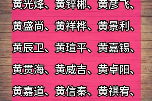 猪年黄姓宝宝取名佳选