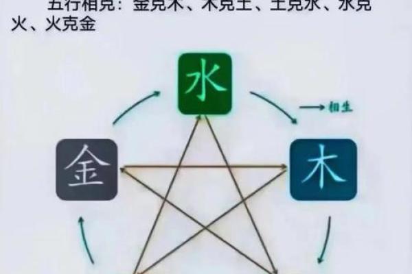 阅字五行属性解析