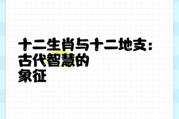 地支奇谈：揭秘十二生肖的隐藏命运密码