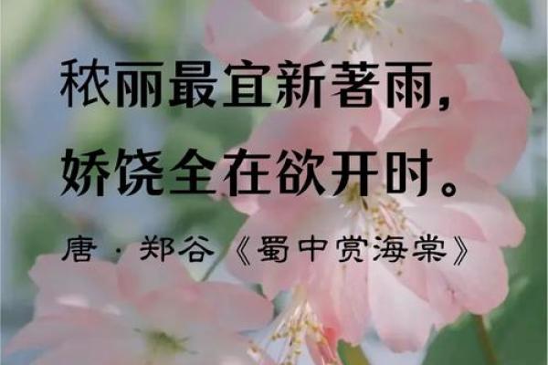 海棠文化如何传承中国传统文化的精髓