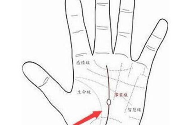 左手奇迹：探寻命运线的奥秘