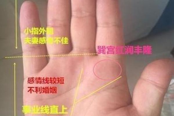 女性手相揭秘：掌握成功密码的神奇手相