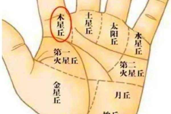 山字掌纹揭秘，财运亨通的秘密武器