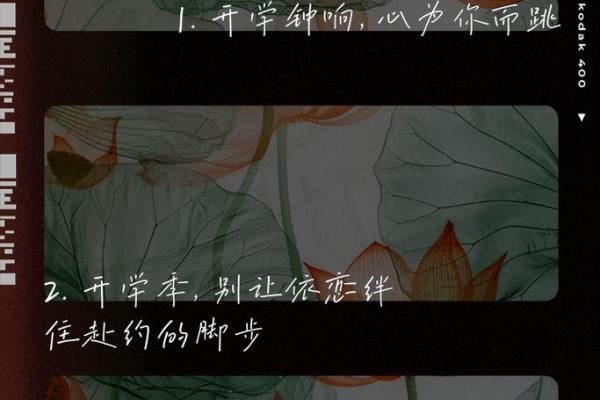 马依晨：晨曦映照，依恋前行，命运之光璀璨照耀