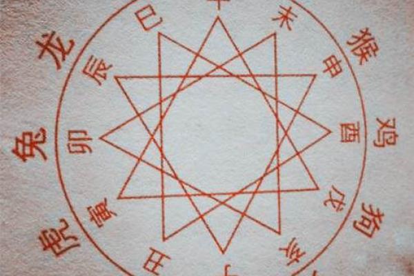 地支3运势解析，你的运势如何？