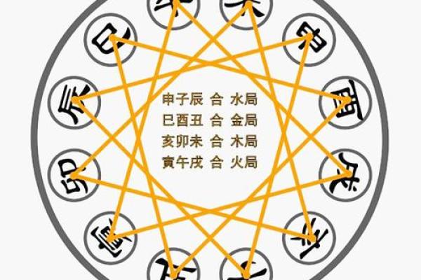 地支3运势解析，你的运势如何？