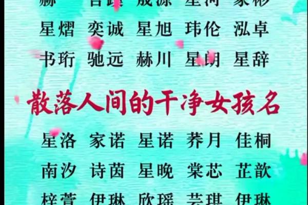 汇聚智慧：宝宝起名新思路