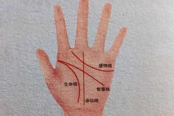 手相生育线解读：看手相预测生育能力，准到不可思议