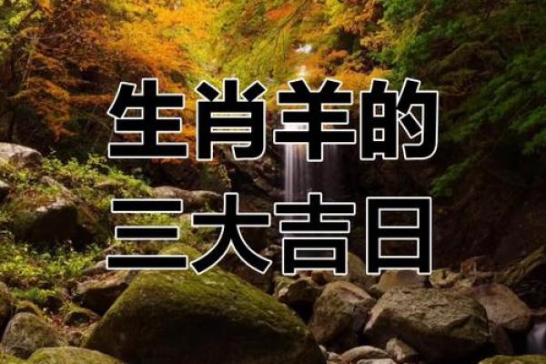 地支羊年运势爆棚，揭秘生肖人的成功秘诀