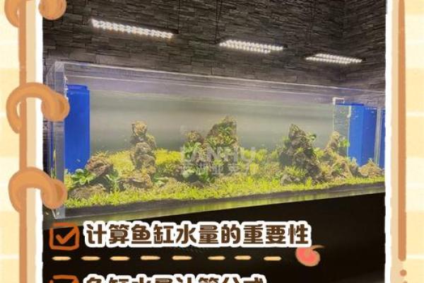 苏州办公室鱼缸风水投资指南，打造事业巅峰