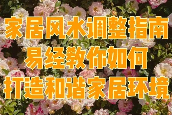 家居风水：真的有用吗？揭秘风水背后的秘密！