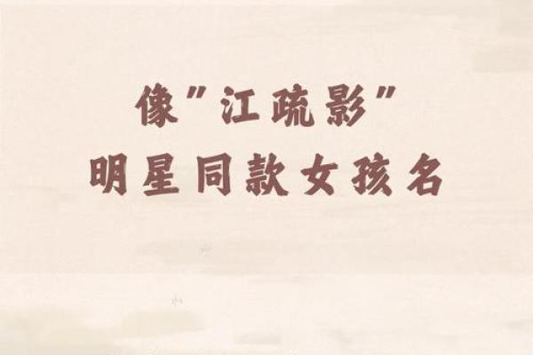 鸡年沈姓女宝宝名字灵感