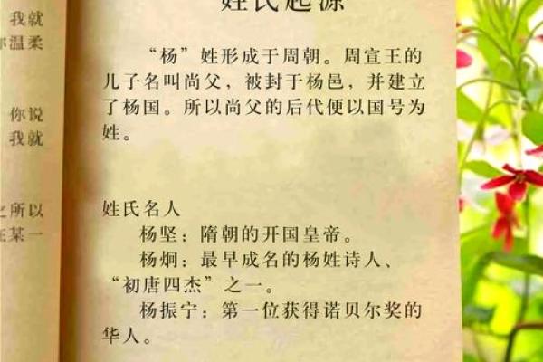 杨氏鸡宝宝取名秘籍