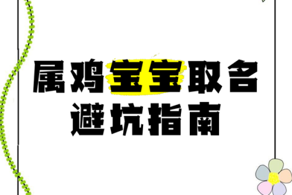 杨氏鸡宝宝取名秘籍