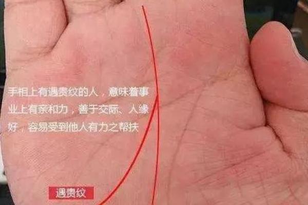 一掌定乾坤，揭秘手相中的权力密码
