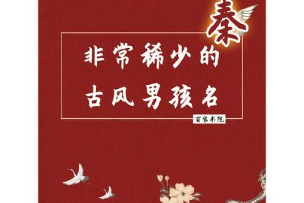带骅名字的文化内涵与创意搭配