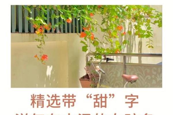 带骅名字的文化内涵与创意搭配