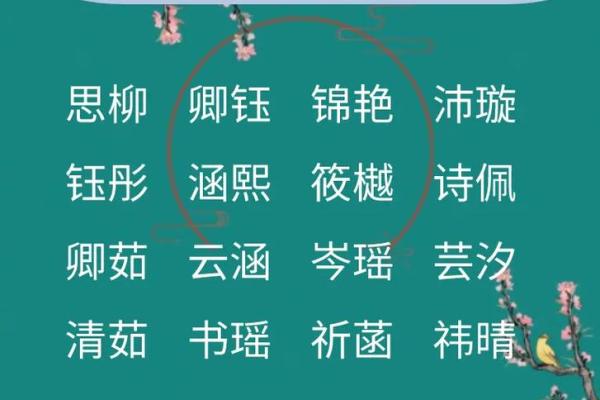 2020年温馨雅致女宝宝名字精选