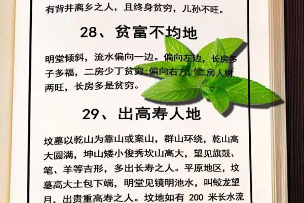 植物风水学的智慧与生活实践