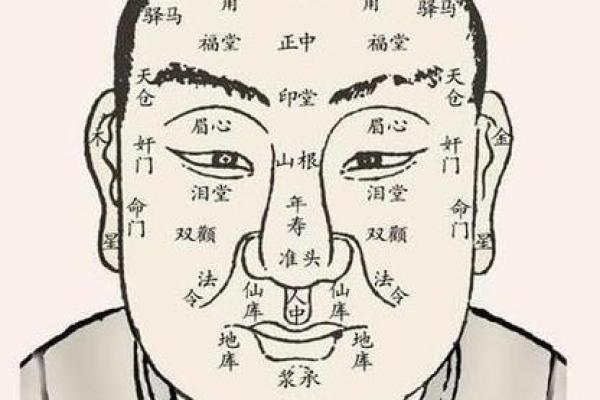 面相之谜：揭秘眼小嘴大者的命运与性格