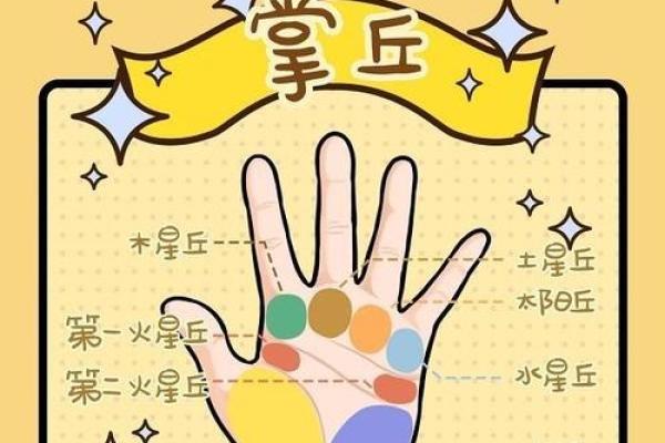 解锁命运密码：手丘手相秘籍大公开