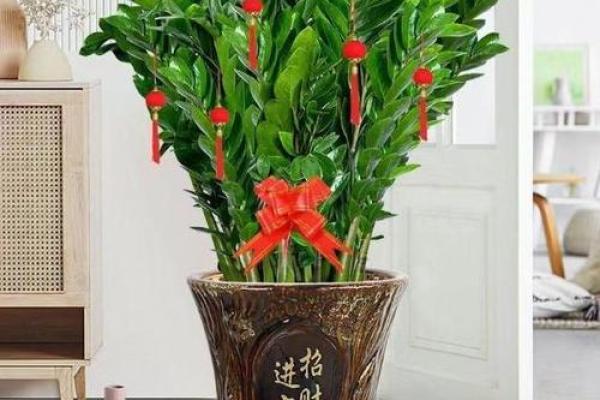 风水大师亲授：招财聚宝盆风水树，财运亨通的秘密武器！
