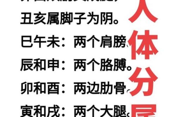 八字命理解析：解析差名字背后的运势秘密