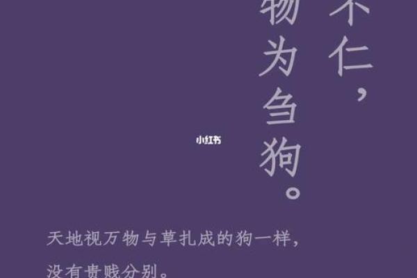 字含天地：宝宝命名哲学
