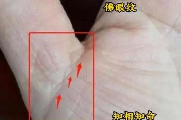 斗手相术：一招看透人心，揭秘运势的秘密