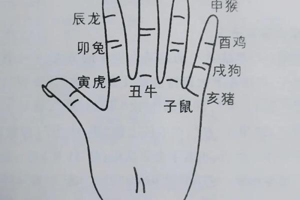 一掌定乾坤：手相分析，揭秘你的运势与命运！